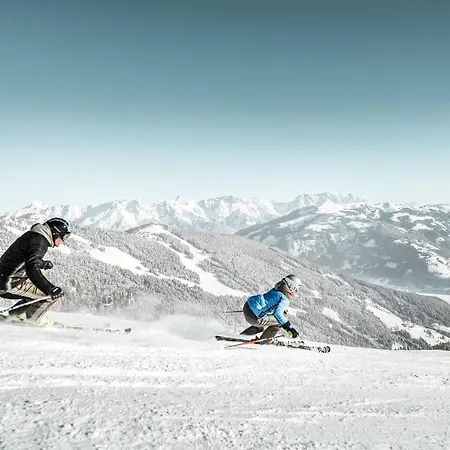Ξενοδοχείο με διαμερίσματα Zell Am