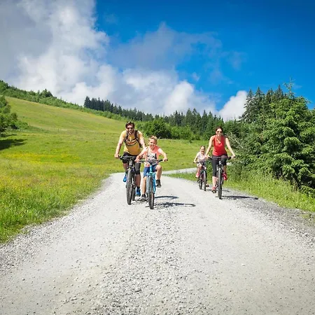 Ξενοδοχείο με διαμερίσματα Zell Am 4*